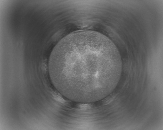 X0000072930085200608041227