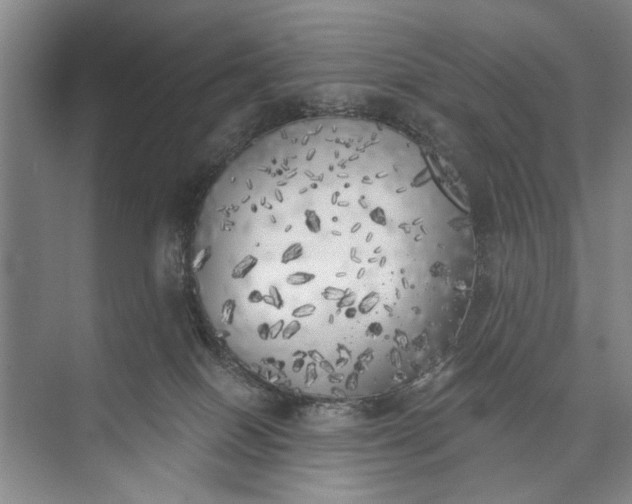 X0000072930086200608041227