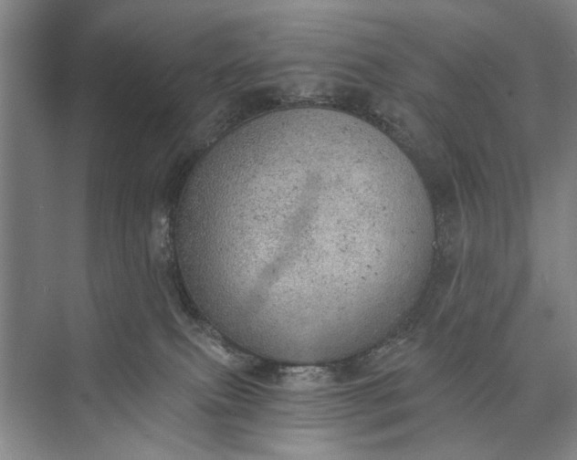 X0000072930087200608041227