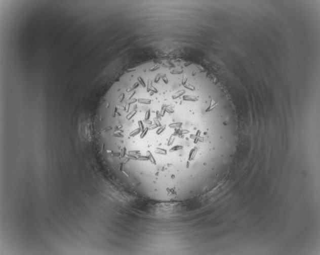 X0000072930090200608041227