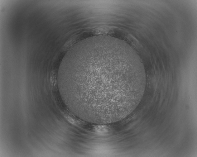 X0000072930091200608041227