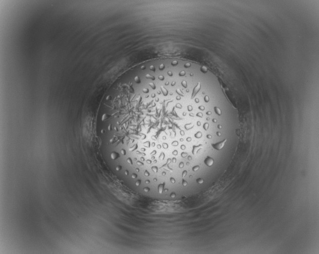 X0000072930093200608041227