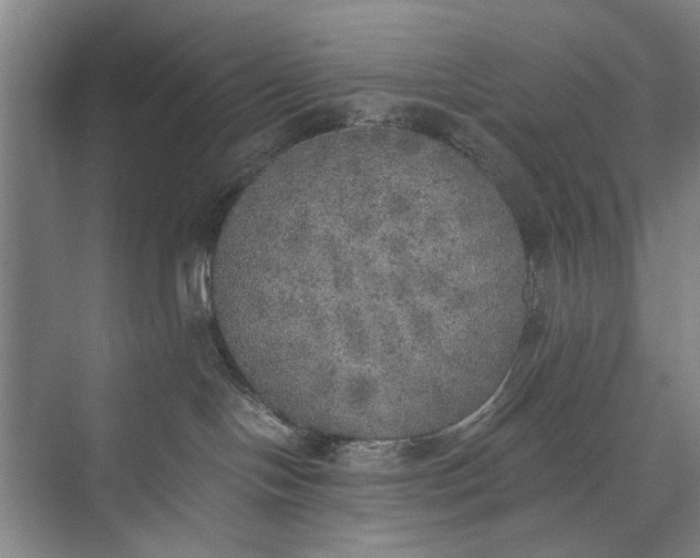 X0000072930094200608041227