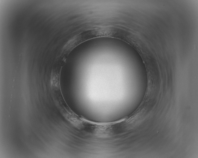 X0000072930096200608041227