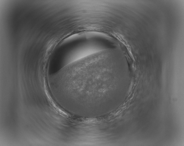 X0000072930097200608041226