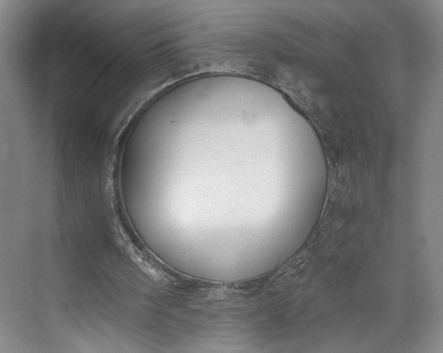 X0000072930098200608041226