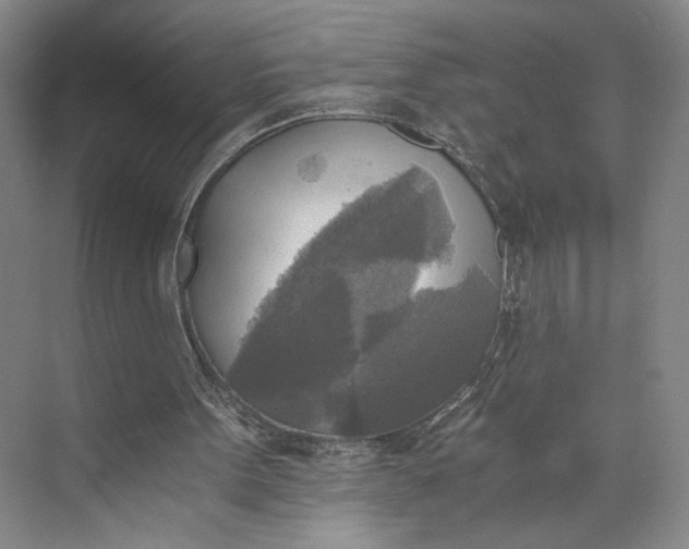 X0000072930099200608041226