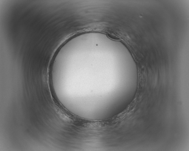 X0000072930100200608041226