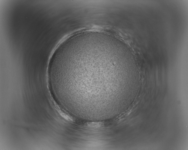 X0000072930102200608041226