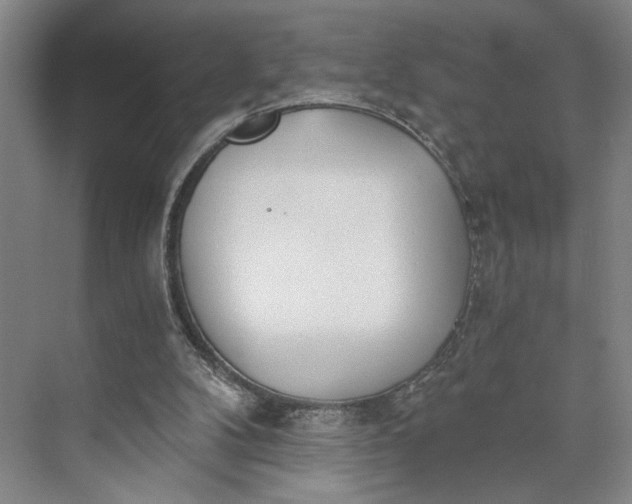 X0000072930104200608041226