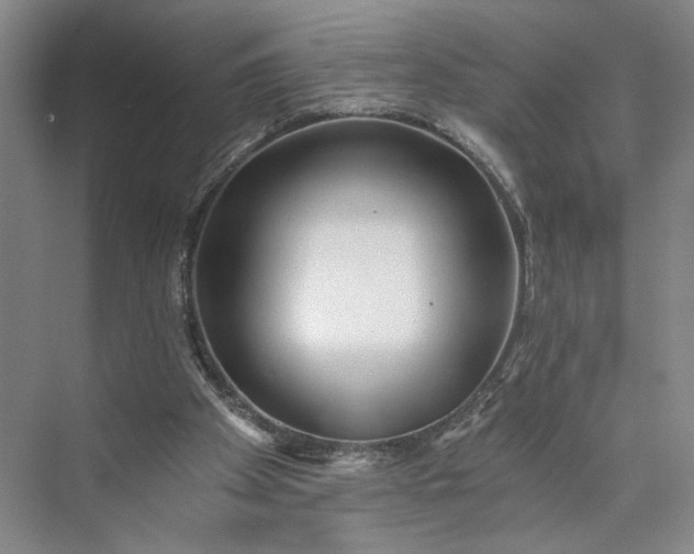 X0000072930105200608041226