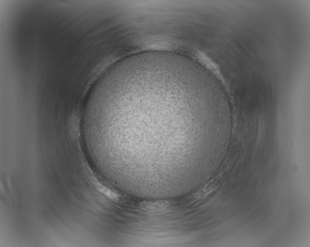 X0000072930106200608041226