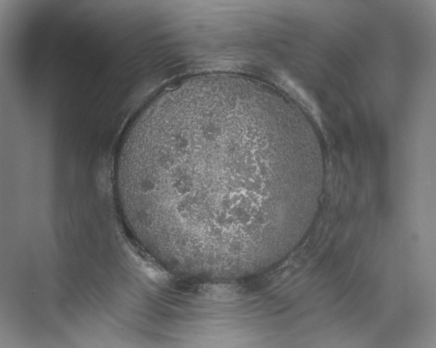 X0000072930107200608041226