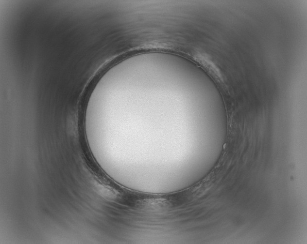 X0000072930108200608041226