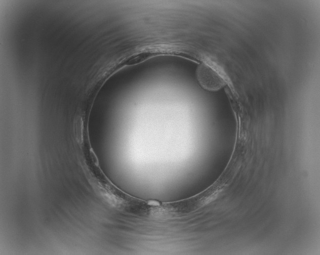 X0000072930109200608041226