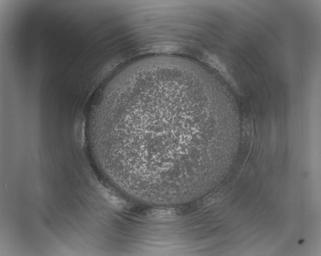 X0000072930110200608041226