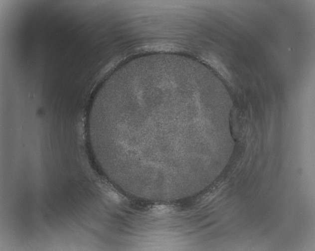 X0000072930111200608041226