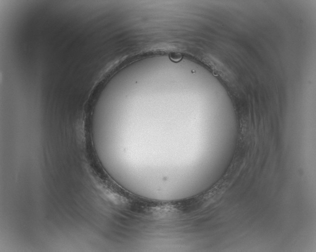 X0000072930112200608041226