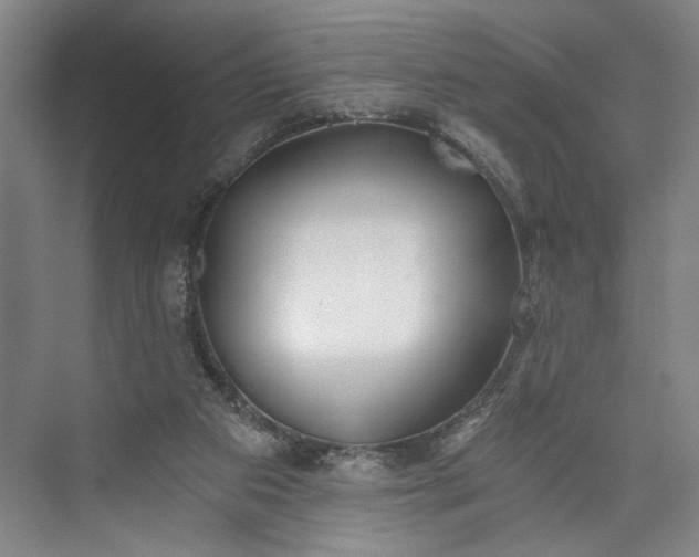 X0000072930113200608041226