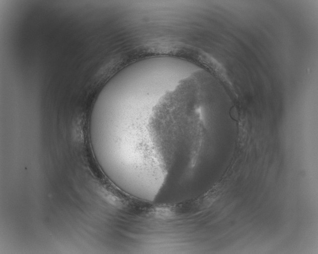 X0000072930114200608041226