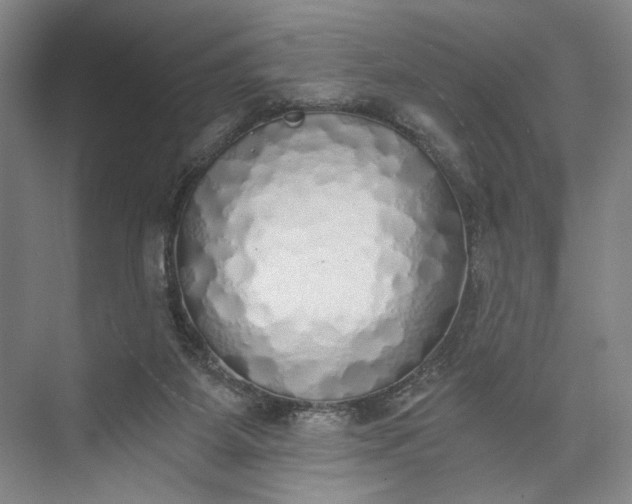 X0000072930115200608041226