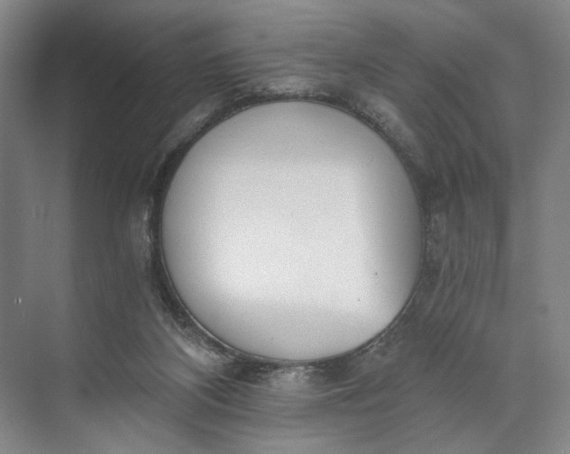 X0000072930116200608041226