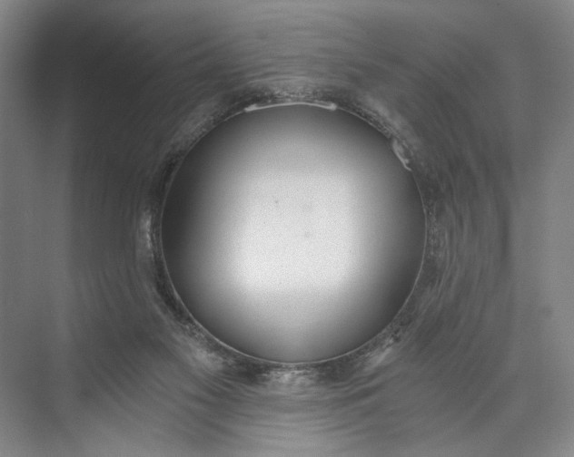 X0000072930117200608041226