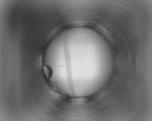 X0000072930118200608041226