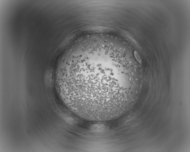 X0000072930119200608041226