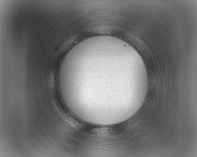 X0000072930120200608041226