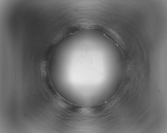 X0000072930121200608041226