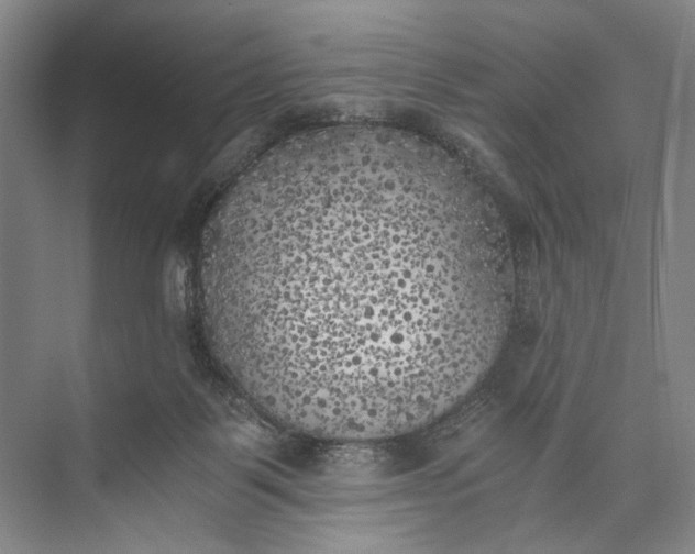 X0000072930123200608041226