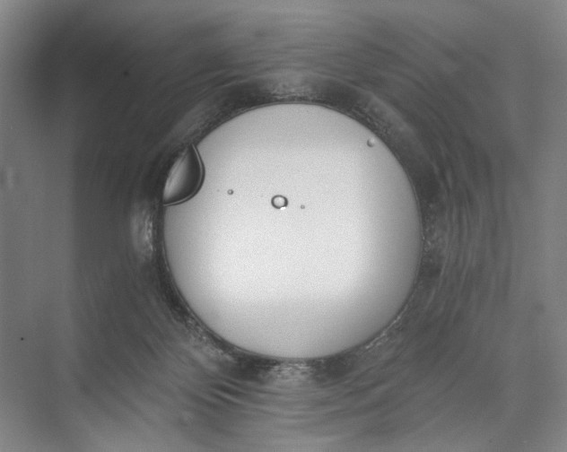 X0000072930124200608041226