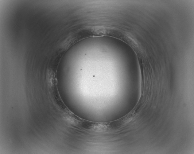 X0000072930125200608041226