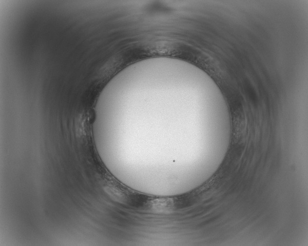 X0000072930126200608041226