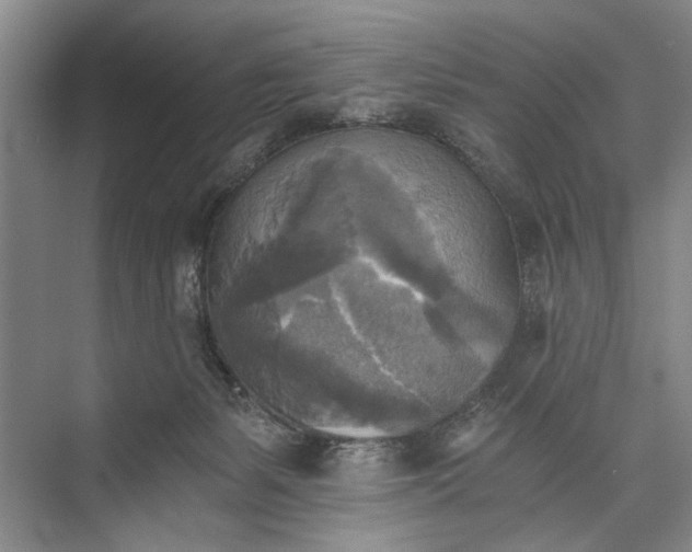 X0000072930127200608041226