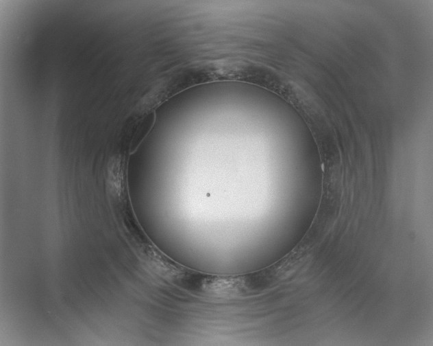 X0000072930129200608041226