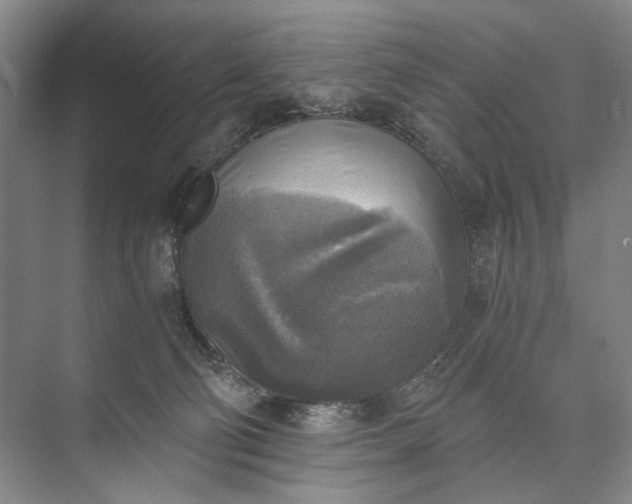 X0000072930130200608041226