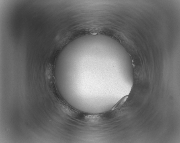 X0000072930133200608041226