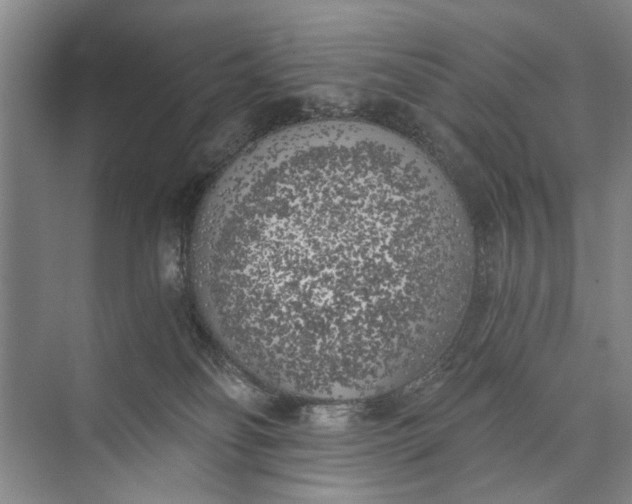 X0000072930134200608041226