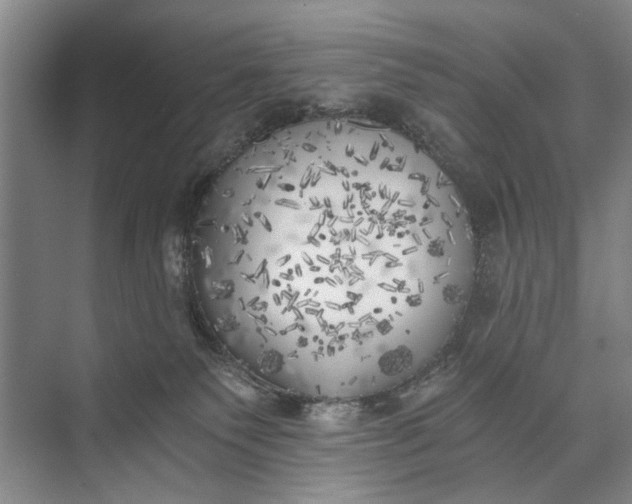 X0000072930135200608041226