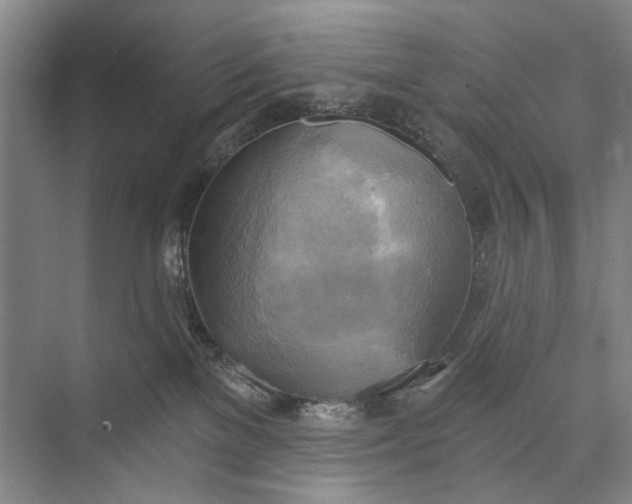 X0000072930137200608041226