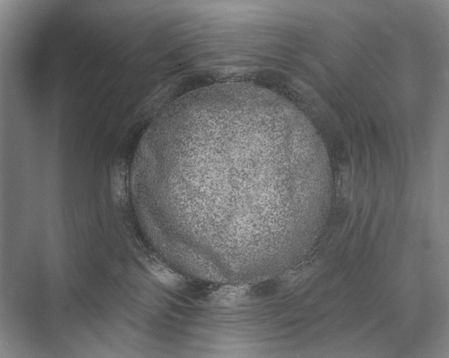 X0000072930138200608041226