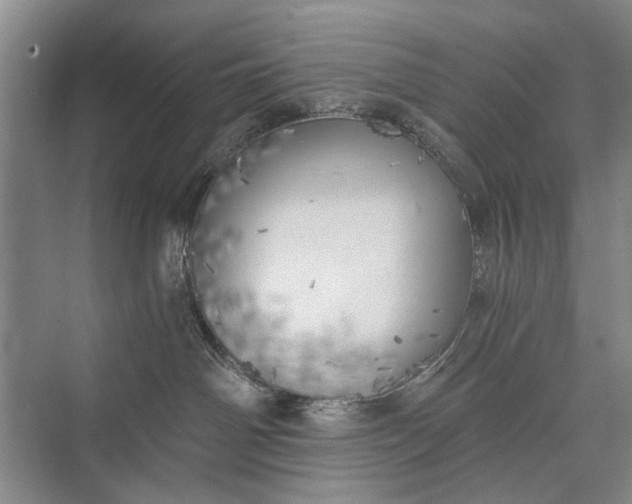 X0000072930142200608041226