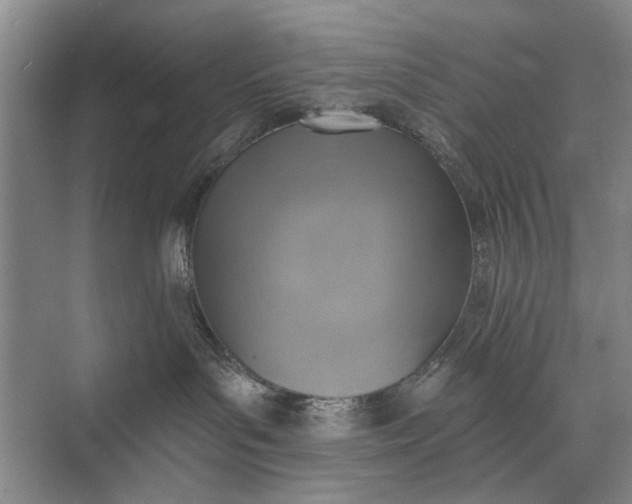 X0000072930143200608041226