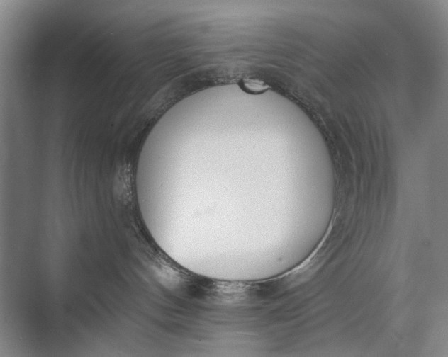 X0000072930144200608041226