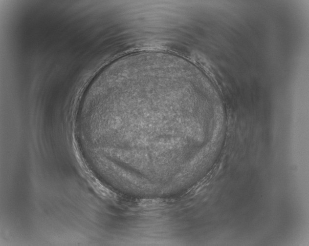 X0000072930145200608041225