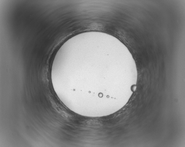 X0000072930146200608041225