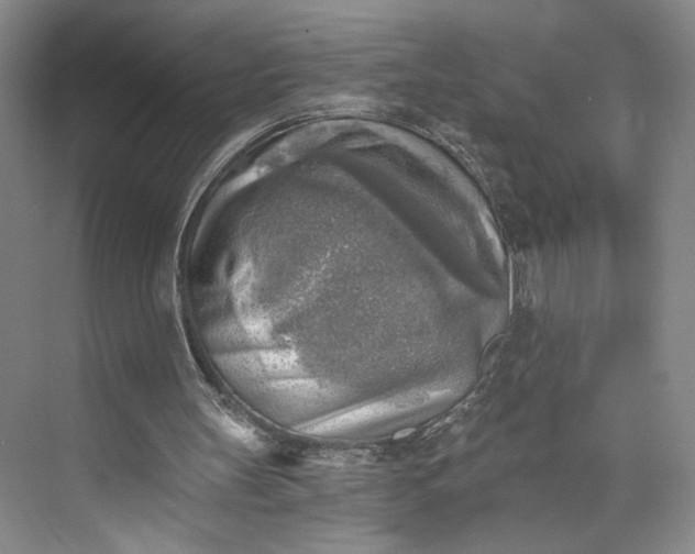 X0000072930147200608041225