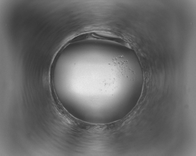 X0000072930148200608041225